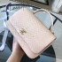 Chanel Bag 198 snake